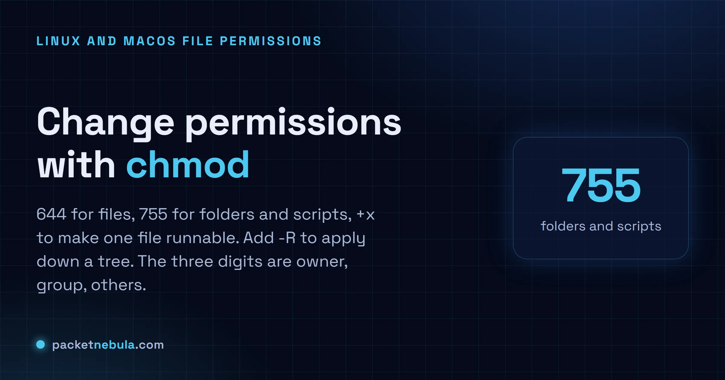 Answer card: chmod 644 for files, chmod 755 for scripts and folders, chmod +x to make a file executable, chmod -R to apply down a tree.