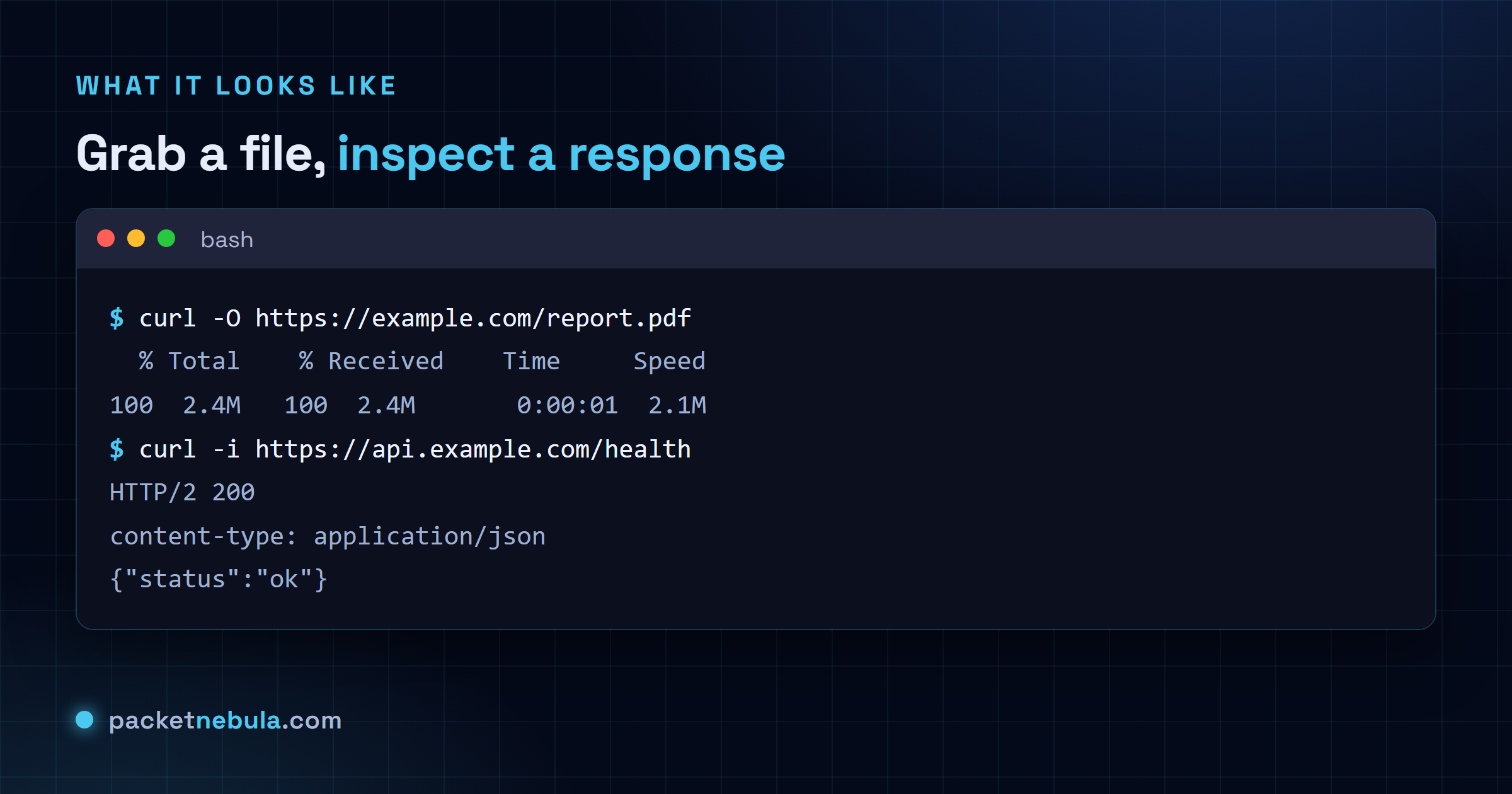 Terminal showing curl -O downloading a PDF with a progress bar, then curl -i printing an HTTP 200 response with JSON.