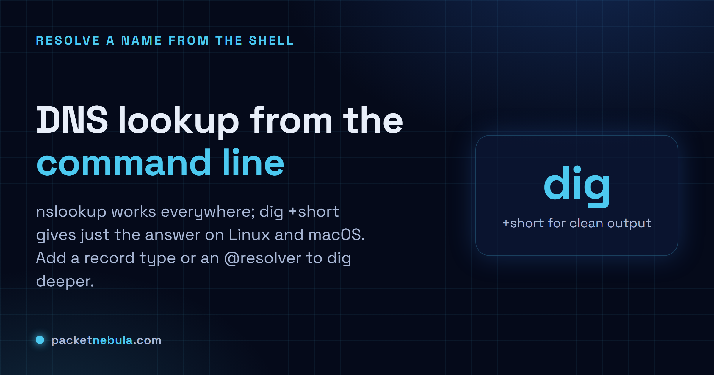 Answer card showing nslookup on any OS, dig and dig +short on Linux and macOS, plus querying a specific resolver with @.