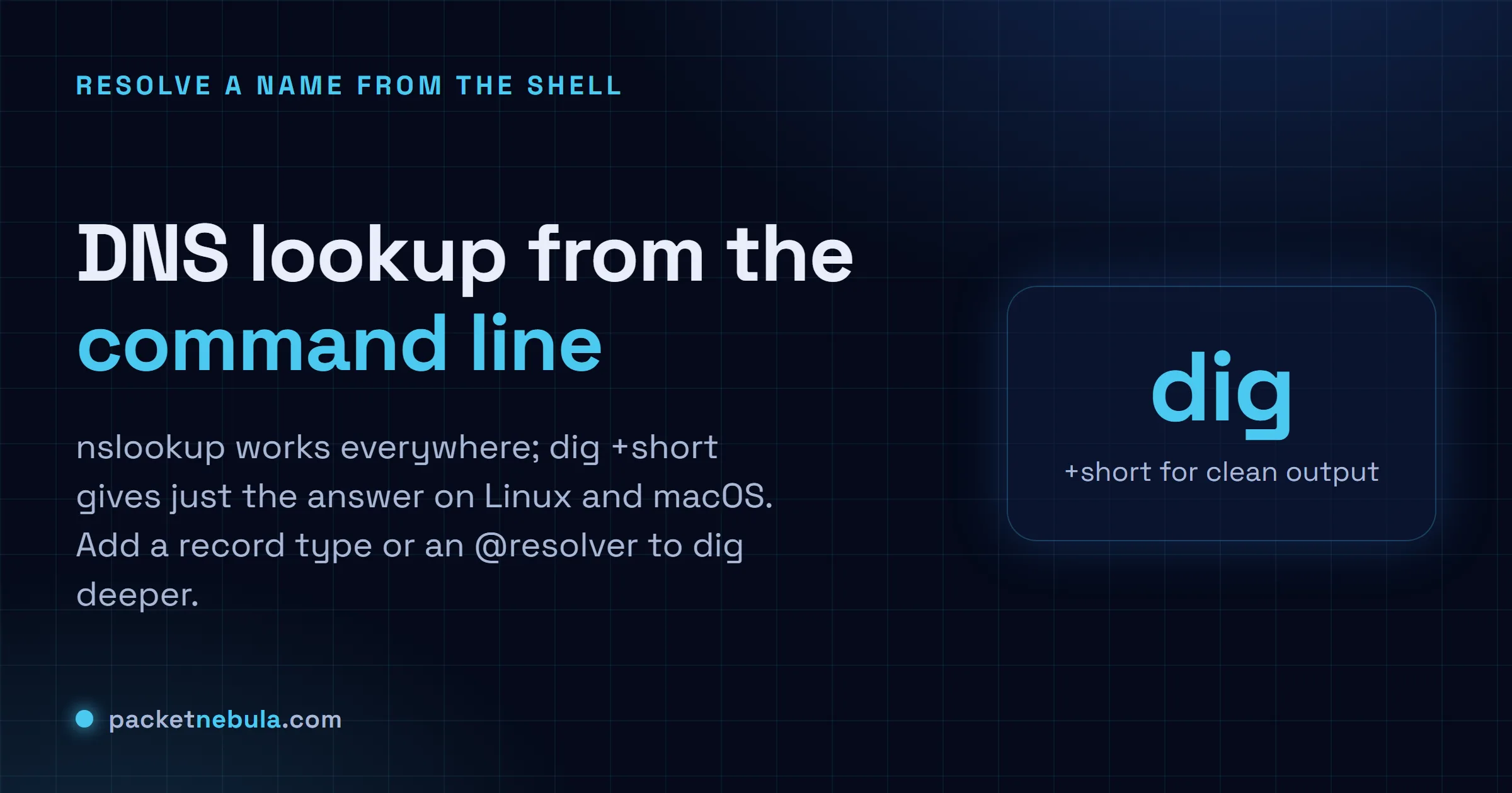 Answer card: nslookup on any OS, dig on Linux and macOS, dig +short for just the answer, and @8.8.8.8 to query a specific resolver.