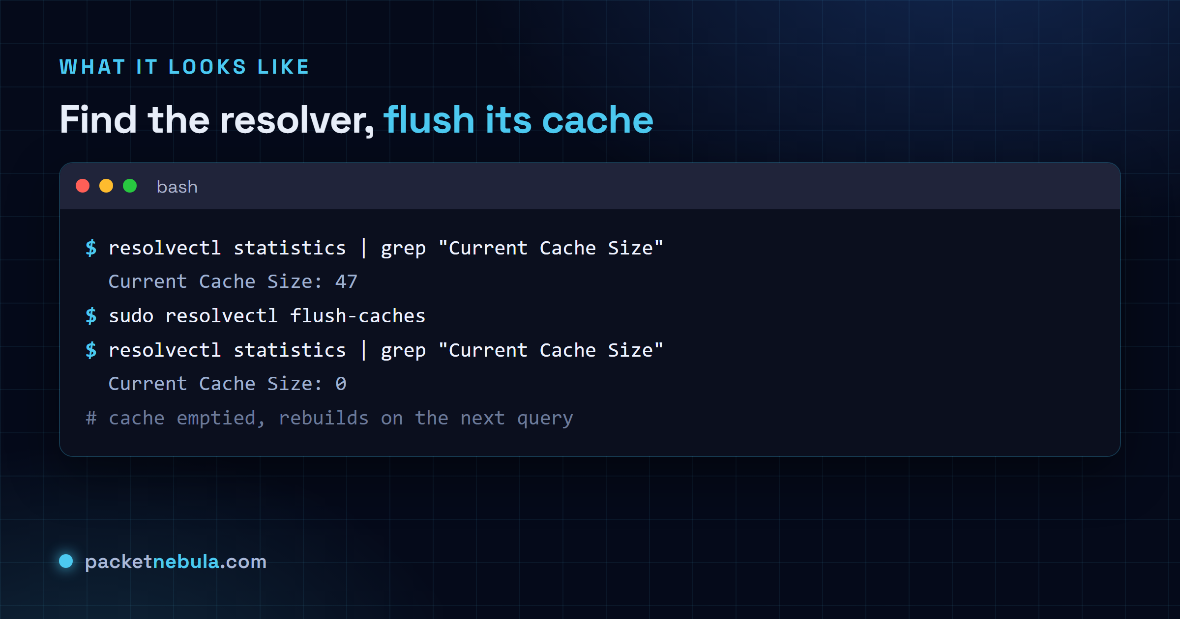 Terminal showing resolvectl statistics before and after sudo resolvectl flush-caches, with the cache size dropping to zero.