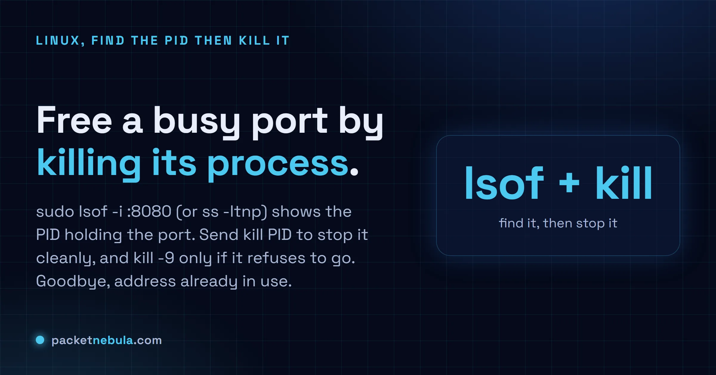 Answer card: free a busy port on Linux by finding the PID with sudo lsof -i :8080 then running kill, or kill -9 as a last resort.
