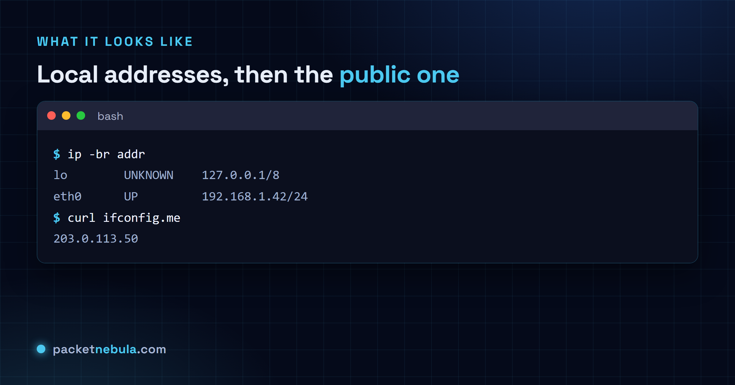 Terminal showing ip -br addr listing interfaces with their addresses, then curl ifconfig.me returning the public IP.